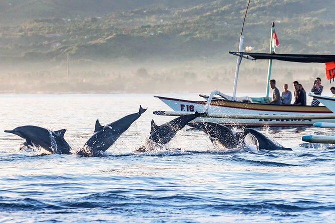 All inclusive Lovina Dolphins Sunrise tour, Waterfall & Temple - The Dolphin Boat + Snorkeling Package: Private Time Without Extra Fees