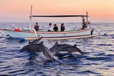 All inclusive Lovina Dolphins Sunrise tour, Waterfall & Temple - Lovina Beach Dolphins: What Responsible Watching Feels Like