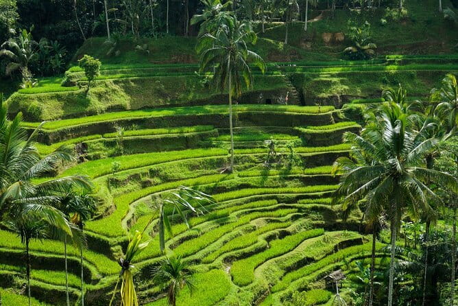 All Inclusive of Ubud Top Attraction - Ubud Royal Palace and the Art Market: history plus shopping time