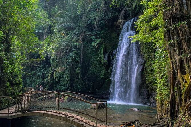 All Inclusive of Ubud Top Attraction - Sacred Monkey Forest Sanctuary: temples inside the green