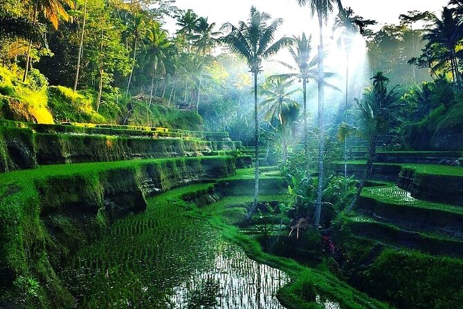 [All Inclusive] The Soul of Bali: Temples, Art & Traditions Tour - Ubud Traditional Art Market: Local Crafts, Local Economy