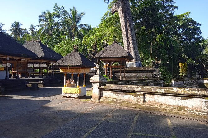 [All Inclusive] The Soul of Bali: Temples, Art & Traditions Tour - Goa Gajah (Elephant Cave): A Temple Site With a Hillside Setting