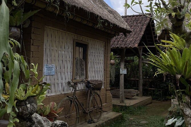 All Inclusive Ubud Cultural and Natural Highlights Tour - The “photo-first” approach: jungle swing, smartphone tips, and better angles