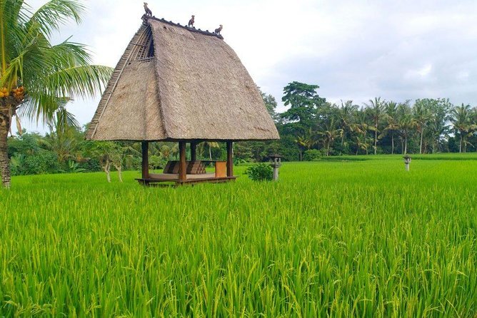 All inclusive Ubud private tour - Stop 1: Puseh Batuan Temple and the Balinese house compound