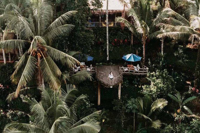 All inclusive Ubud private tour - Stop 4: Tegalalang Rice Terrace for classic hillside views