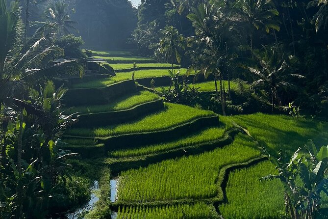 All Inclusive Ubud Tour - Tirta Empul: Sacred Spring Water and the Purification Steps