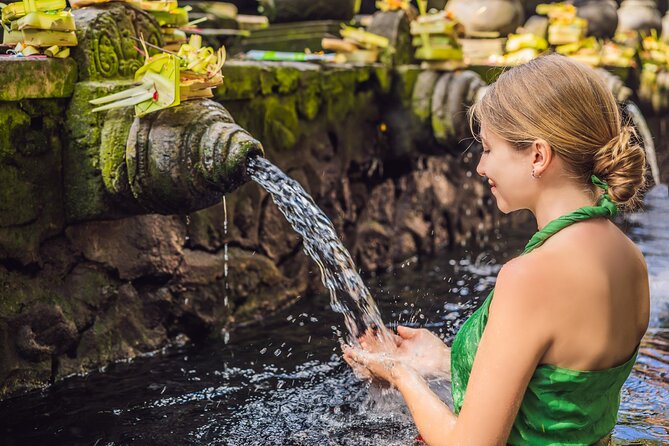 All-Inclusive Ubud's Wonder Day Tour - Key highlights to watch for
