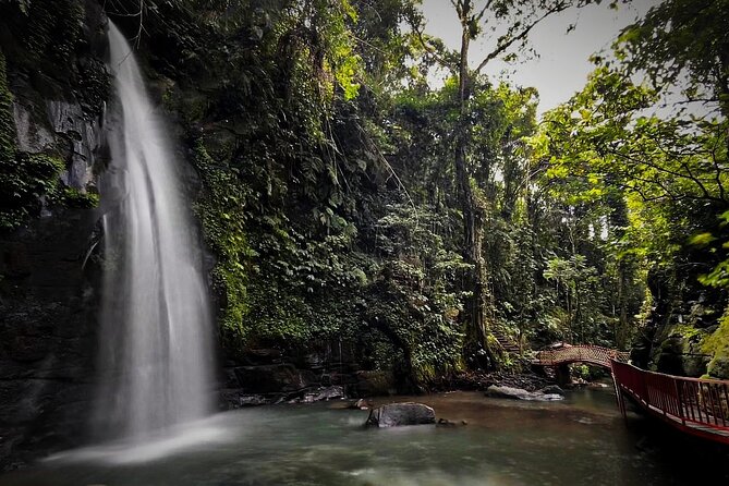 All-Inclusive Ubud's Wonder Day Tour - Tirta Empul Temple: The Ritual Stop You’ll Remember