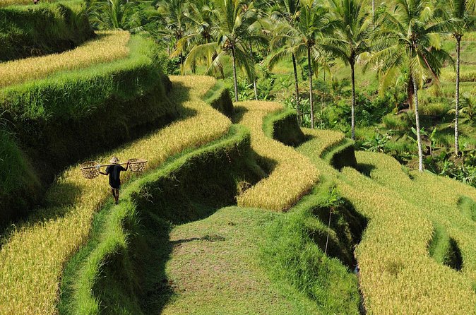 All-Inclusive Ubud's Wonder Day Tour - Waterfall Break #2: Tibumana’s Quiet Pool Energy