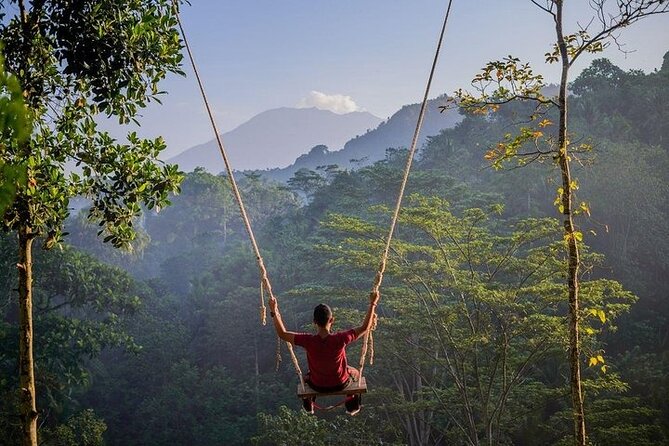 All Inclusives Bali Private Tour Temples Palaces and Nature - Gates of Heaven at Lempuyang Temple, and why timing matters
