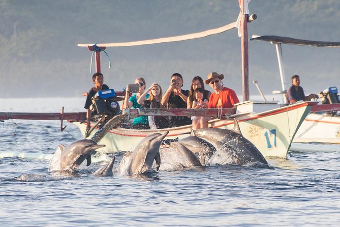Amazing Private Tours: Dolphins Lovina and Gitgit Waterfall include Lunch - Gitgit Waterfall: Nature Views After the Early Start