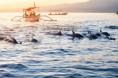 Amazing Private Tours: Dolphins Lovina and Gitgit Waterfall include Lunch - Ulundanu Beratan Temple and Candikuning Market: Culture Break With a Local Edge