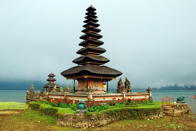 Amazing Private Tours: Dolphins Lovina and Gitgit Waterfall include Lunch - Price and Value: $78.50 With Lunch Included