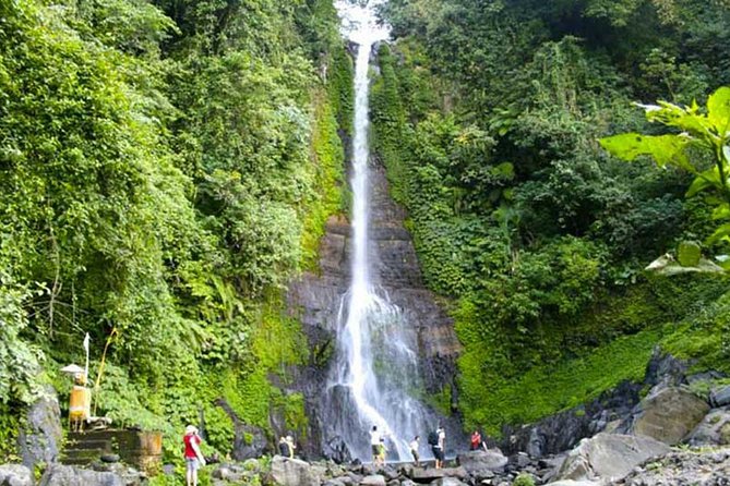 Amazing Private Tours: Dolphins Lovina and Gitgit Waterfall include Lunch - Timing and What to Bring for a 2:30 a.m. Start