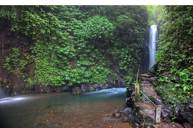 Amazing Private Tours: Dolphins Lovina and Gitgit Waterfall include Lunch - Should You Book This Private Dolphins and Gitgit Waterfall Tour?