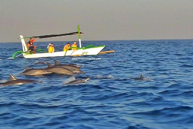Amazing Private Tours: Dolphins Lovina and Gitgit Waterfall include Lunch - FAQ