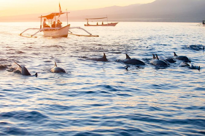 Amazing Private Tours: Dolphins Lovina and Gitgit Waterfall include Lunch - Ulundanu Beratan Temple and Candikuning Market: Culture Break With a Local Edge