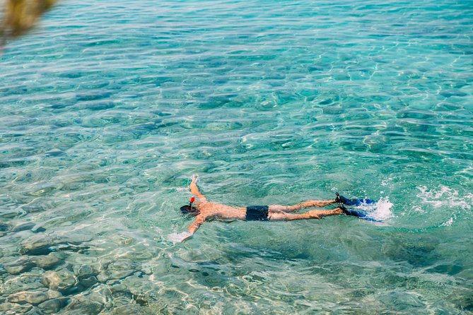 Amed Bali Snorkelling: Japanese Shipwreck & Vienna Beach Tour - Pickup From Ubud Area, Meeting Point in Amed, and Why Your Timing Changes