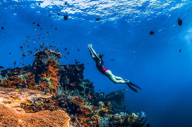 Amed Bali Snorkelling: Japanese Shipwreck & Vienna Beach Tour - Pantai Amed and Amed Wreck: Japanese Shipwreck Point and Turtle Chances