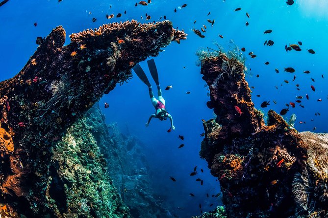 Amed Bali Snorkelling: Japanese Shipwreck & Vienna Beach Tour - Vienna Beach: White Sand, Calmer Water, and a Soft Landing