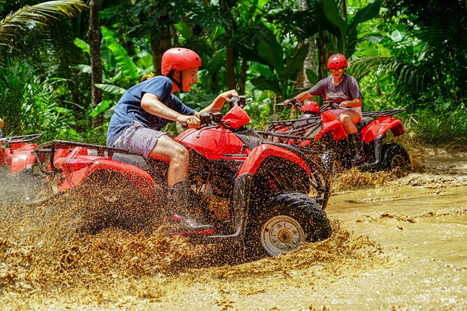 ATV Quad Bike Bali with Waterfall Gorilla Cave and Lunch - Lunch in Nature With a Green Rice-Terrace Finish