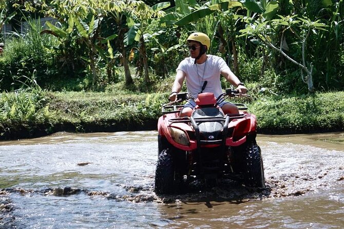 ATV Quad bike tour with Rice terraces & temple - Tegalalang rice terraces: more than photos, it’s a farming system