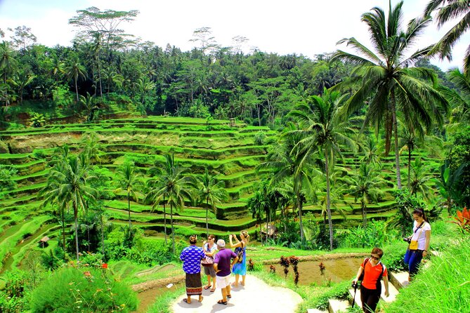 ATV Quad Bike with Kintamani Volcano Tour - All Inclusive - Dadi Bali Adventures Jungle ATV: 2 Hours and About 9 km of Real Bali Terrain