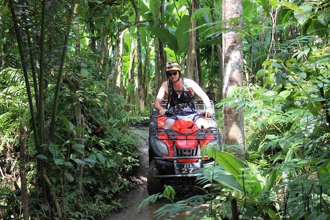 ATV Tour with Monkey Forest Experience in Bali - Sangeh Monkey Forest: How to See Macaques Without Getting Your Stuff Stolen