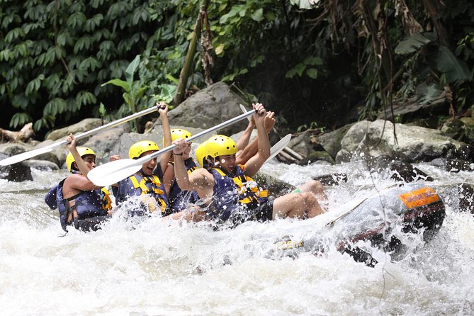 ATV Ubud and Ayung River Rafting - Who This Tour Fits Best (And Who Might Want Another Option)