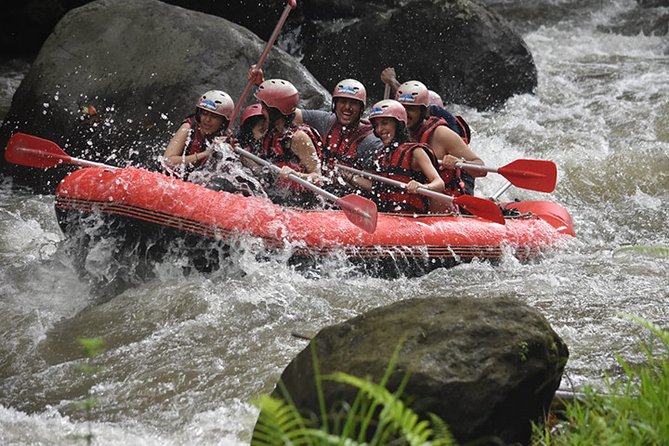 Ayung Rafting Ubud (Include Lunch & Return Transportation) - Key things that make this rafting day click