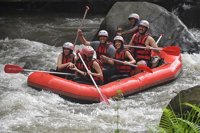 Ayung Rafting Ubud (Include Lunch & Return Transportation) - Start Point near Payangan: Gear Up Without the Stress