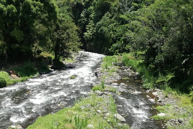 Ayung Rafting Ubud (Include Lunch & Return Transportation) - Shower, Towel, and Changing Rooms: The Comfort Factor People Don’t Think About