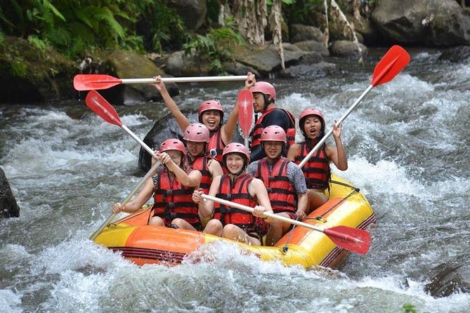 Ayung River Half-Day White Water Rafting Bali in Ubud - Where It Starts: Red Paddle Bali Adventures and the Meeting Point