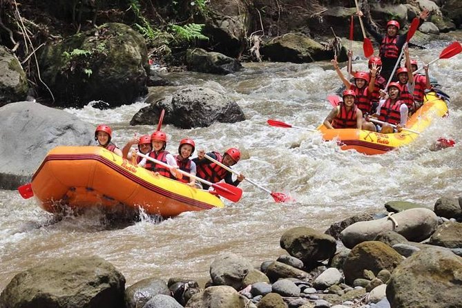Ayung River Half-Day White Water Rafting Bali in Ubud - The Rafting Run (1.5–2 Hours): Paddling Through Class IV When Conditions Align