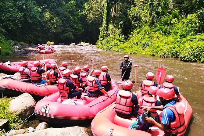 Ayung River Half-Day White Water Rafting Bali in Ubud - The Finish Point at 12:15–12:30: Lunch, Shower, and Then Off the River