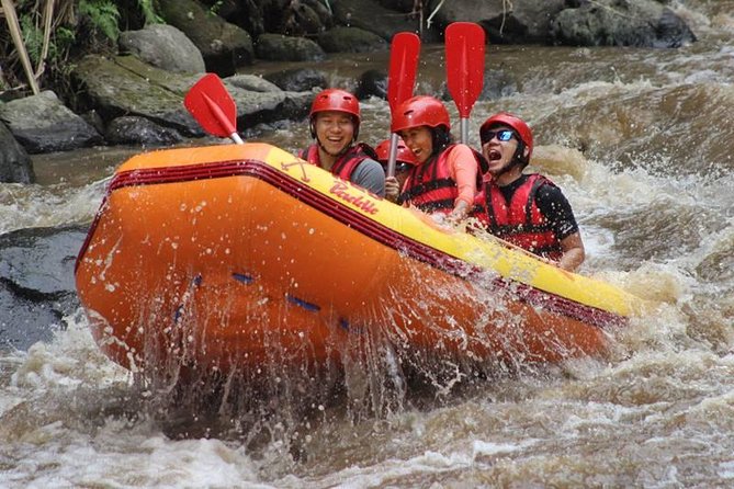 Ayung River Half-Day White Water Rafting Bali in Ubud - Hotel Pickup to Base Camp: How the Timing Really Feels