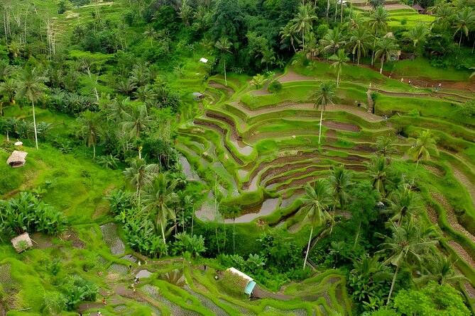 Ayung River Rafting and Kintamani Volcano Trip - Lunch and comfort: the practical value hidden in the package