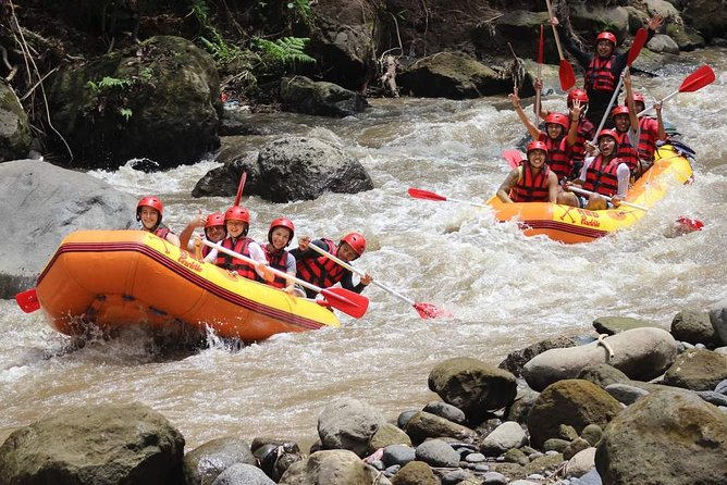 Ayung River - White Water Rafting Bali - Price and value: what $30 really covers