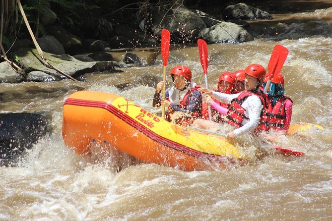 Ayung River - White Water Rafting Bali - Morning versus afternoon: choosing the time that matches your energy