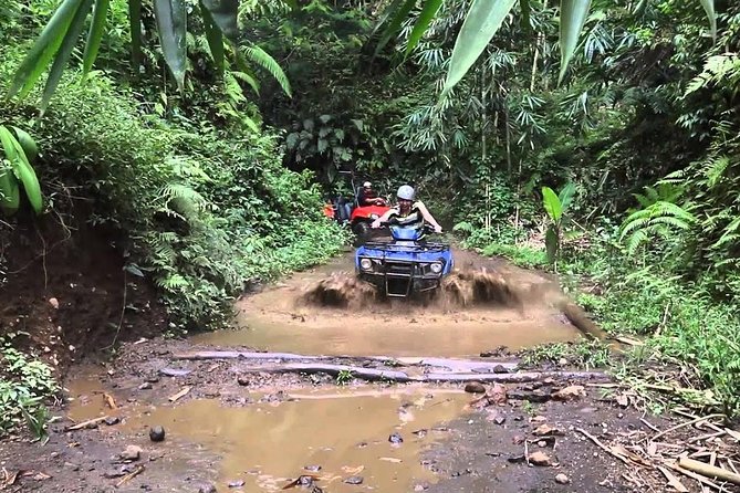Balaji Adventure Bali Quad Bike - Single Bike 250cc - Check-In Flow: Welcome Drink, Registration, and Insurance Paperwork