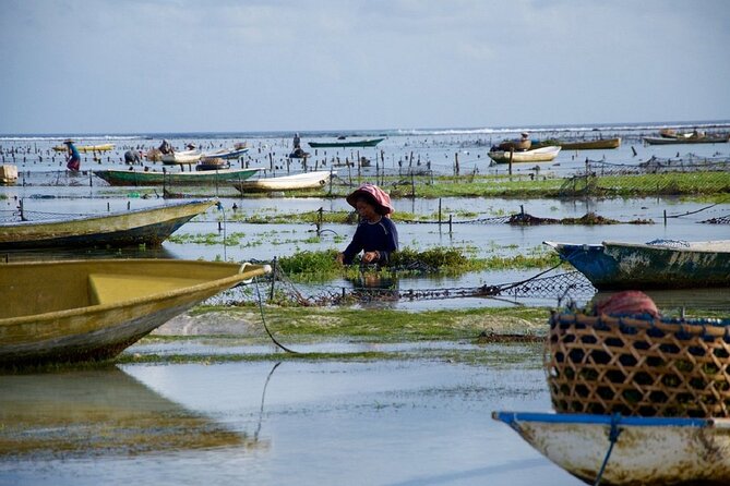 Bali 2 Days and 1 Nights of Nusa Penida and Lembongan Tour - The Best Fit: Who Should Book This Tour