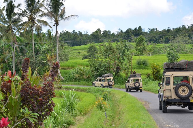 Bali 4WD Adventure WakaLand UNESCO Jatiluwih Trip in Bali Outback - Key highlights worth your attention