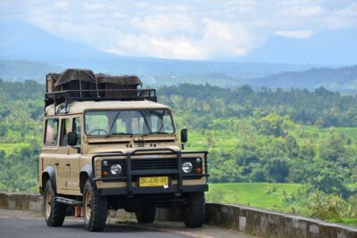 Bali 4WD Adventure WakaLand UNESCO Jatiluwih Trip in Bali Outback - Penebel stone quarry and farm tea: the Bali you don’t scroll past