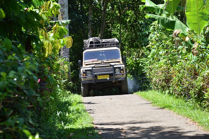 Bali 4WD Adventure WakaLand UNESCO Jatiluwih Trip in Bali Outback - Bamboo Forest Restaurant by WHM: lunch with a view, not a cafeteria