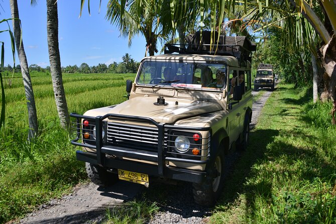 Bali 4WD Adventure WakaLand UNESCO Jatiluwih Trip in Bali Outback - The 4WD experience: bumpy roads, solid photos, and one real-world risk