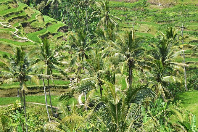 Bali Airport Arrival Transfer and Private Car Charter Combo - Building Your Own Day: How to Use 5 or 10 Hours Well