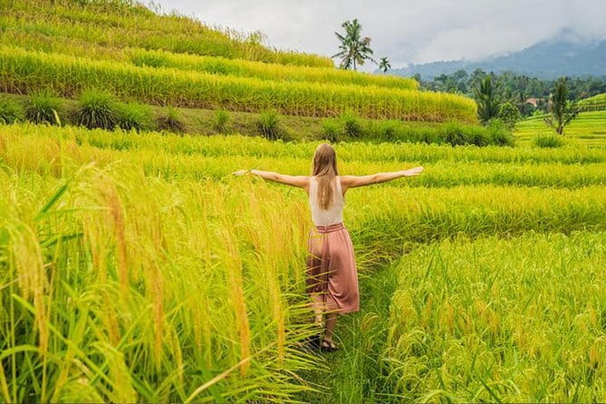 Bali Airport from or to Seminyak/Canggu/Sanur/NusaDua/Uluwatu - Should You Book This Bali Airport Transfer?