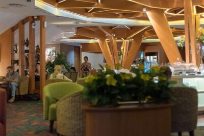 Bali Airport Immigration Fast Track Service - The Prerequisites: eVOA, Visa QR, and Online Customs Declaration