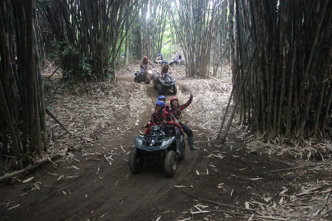 Bali All Inclusive : Tlaga Singha Infinity Pool & Atv Adventure - Before the Pools: Tropical Fruit and Coffee Plantation (Optional)