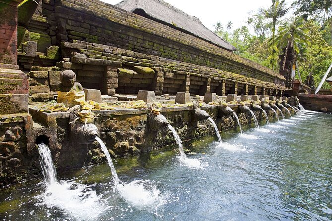 Bali All-Inclusive: Ubud Tour with Entrance Ticket and Lunch Included - Tegalalang Rice Terrace: Traditional Irrigation Views You’ll Want to Slow Down For